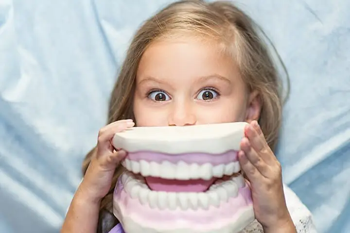 kindergebit naar volwassen gebit